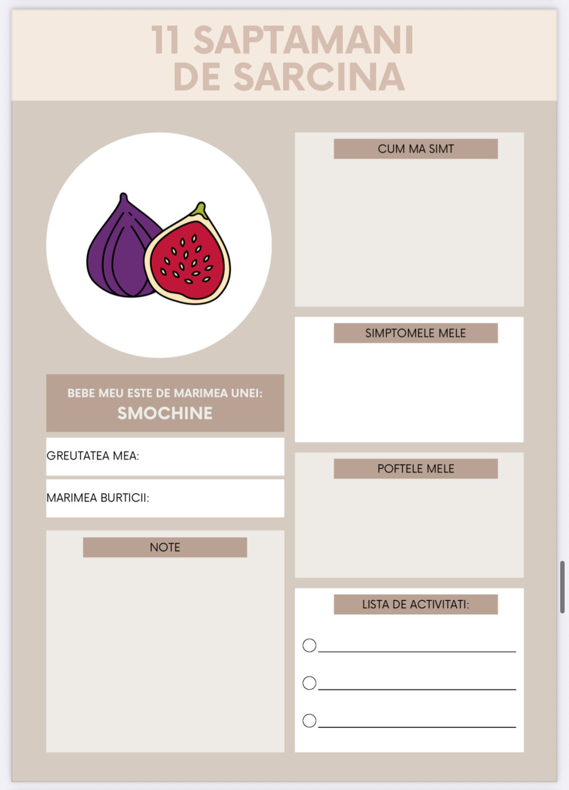 Sarcina - Pas cu pas 👩‍🍼